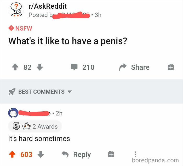 A Penis Is Like Life...