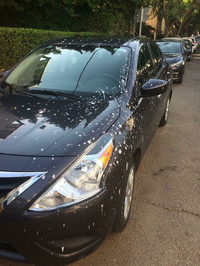 My Dad Got Paint Sprayed On His 2-Week-Old Car From A Garbage Truck's Press