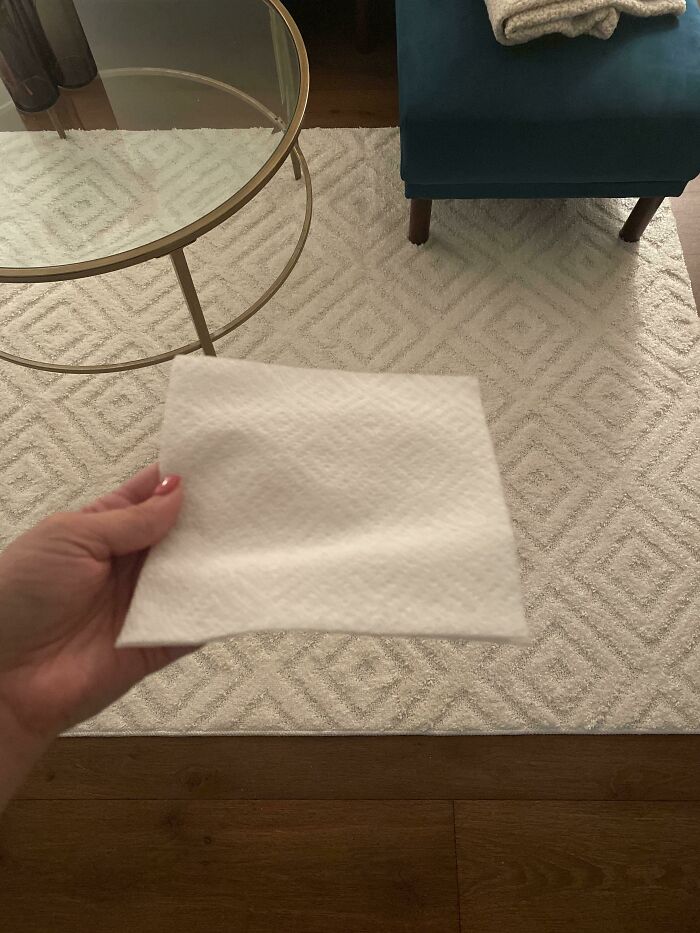 My Rug Looks Like A Giant Version Of My Napkin