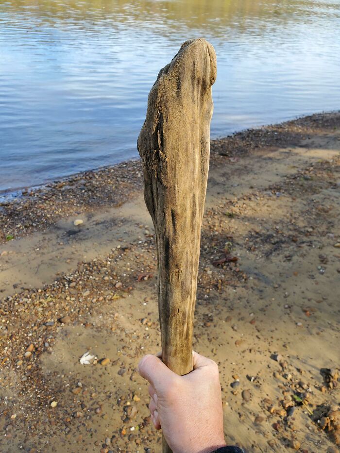 Driftwood I Found Looks Like A Starting Weapon In An Rpg