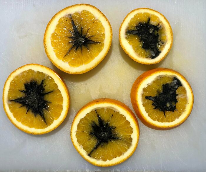 I Cut Open A Navel Orange And Found Alternaria (Black Rot) All The Way Through The Core!