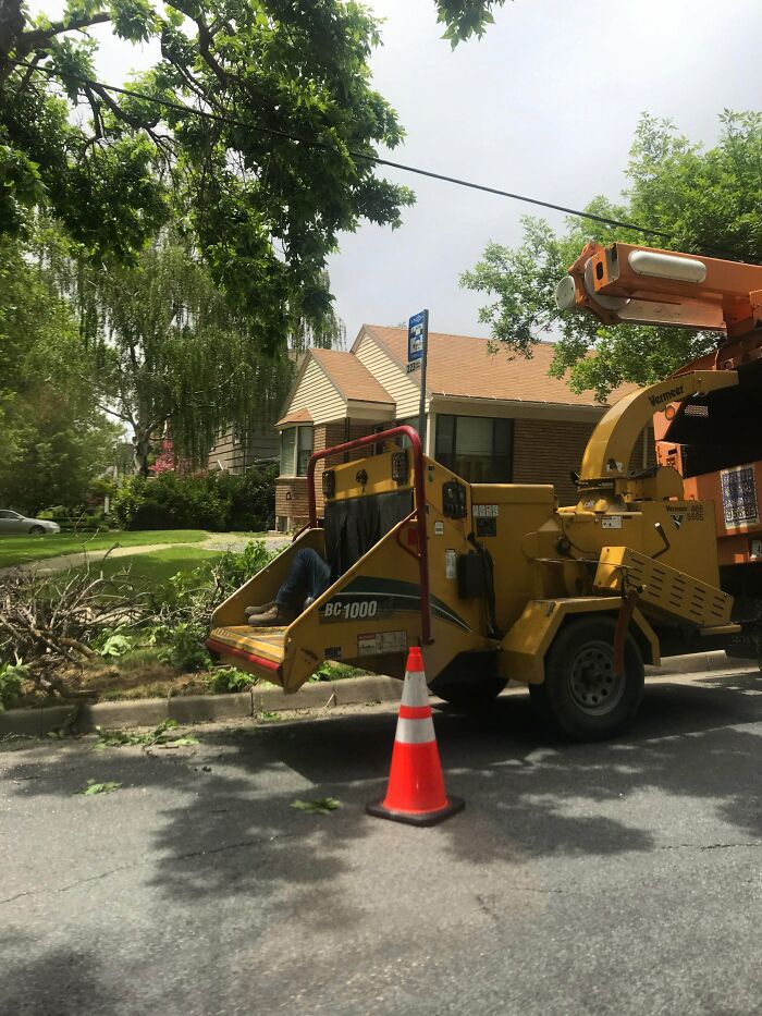 This Guy Napping In A Wood Chipper At The End Of My Street