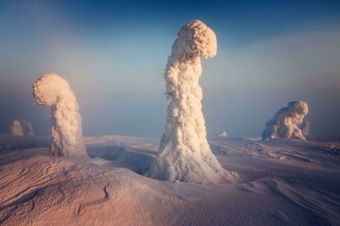 In Finland Temperature Gets As Low As -40c In Winter, The Trees Are Covered In So Much Snow And Frost That It Looks Like Landscape From Another Planet