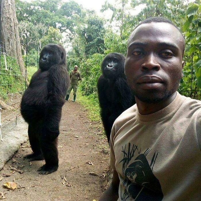 Anti Poachers Guarding The Gorillas Selfie