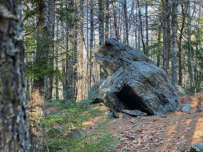 I Found A Rock That Looks Like A Bullfrog (New Boston, Nh)