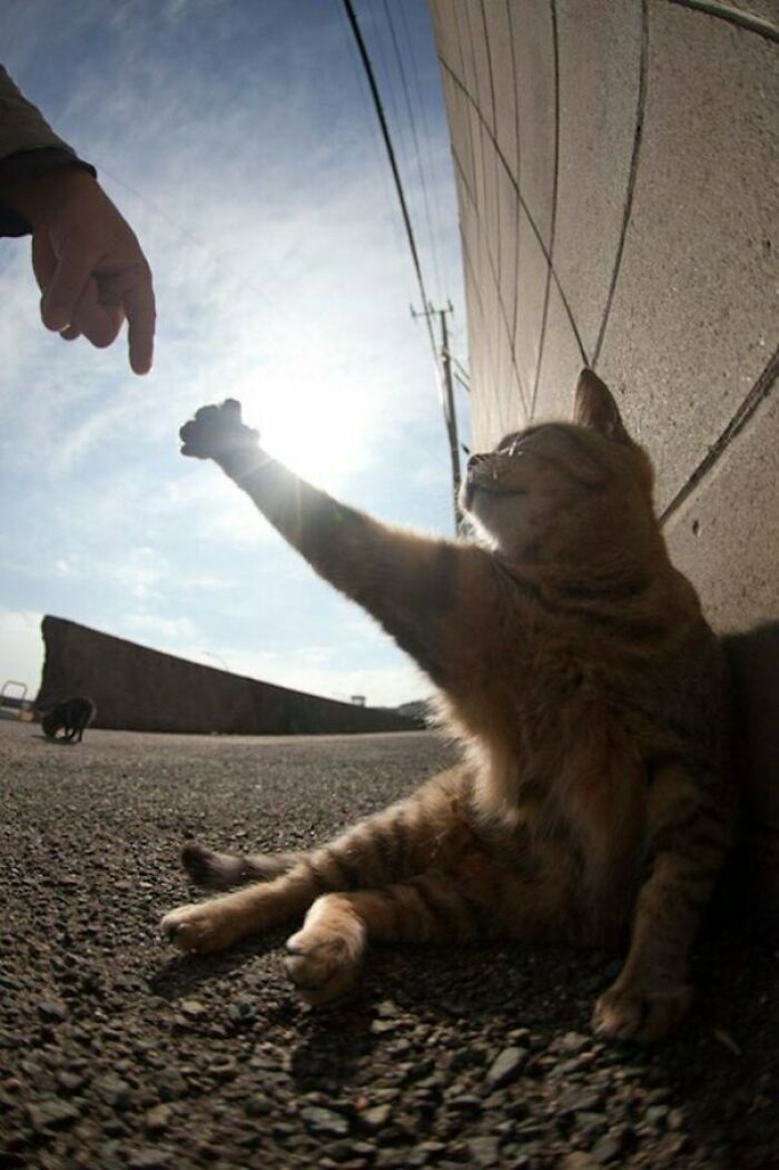 The Creation Of Internets