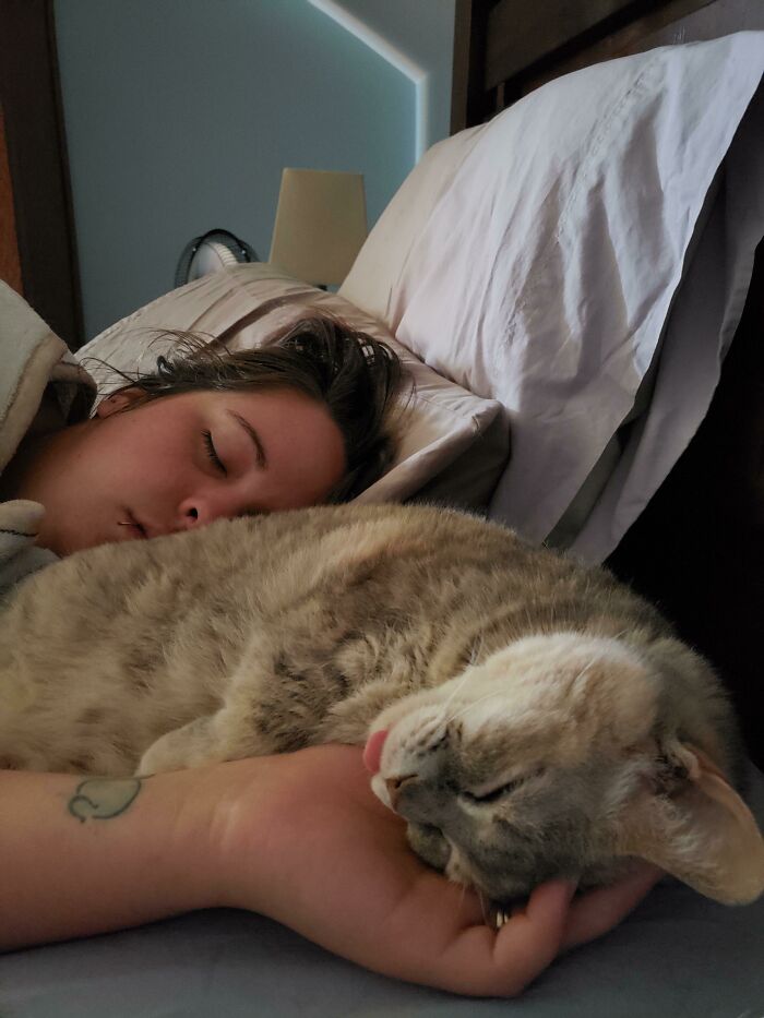 This Is How My Wife And Our Cat Sleep Every Night