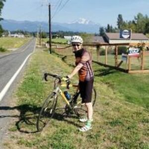 hamsterdreams avatar