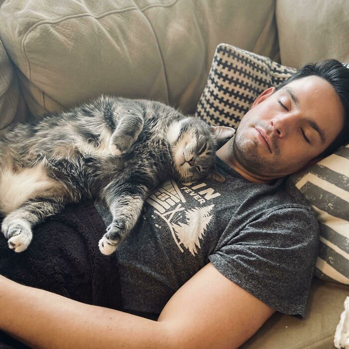Boyfriend And Cat Enjoying A Midday Nap Together