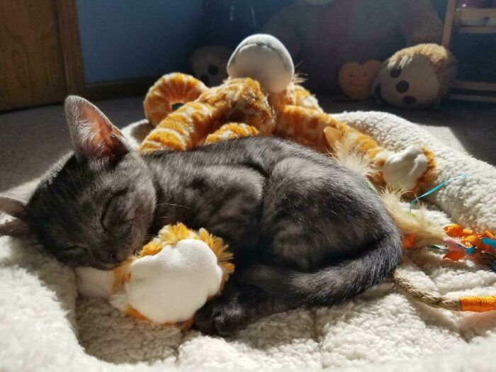 Our New Lil Bean Sleeping With His Favorite Giraffe