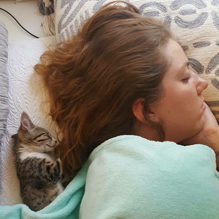 Always Been A Dog Person. Never Had A Kitten Or Cat In My 26 Years. Today My SO Convinced Me At The Humane Society. Couldn't Be Happier. Here's Her And Jupiter Taking A Cat Nap