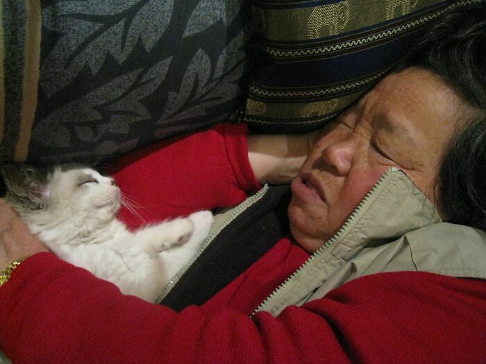 Grandma And "Her" Kitten. Still Napping