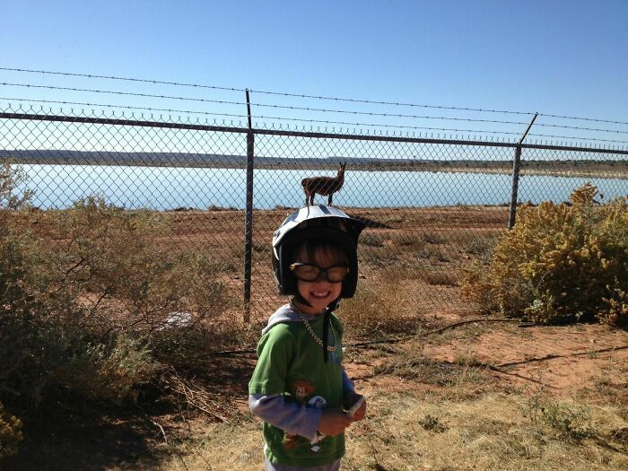 Just My Son Getting Photobombed By A Sewer-Pond Llama That Looks Like It's Balancing On His Head