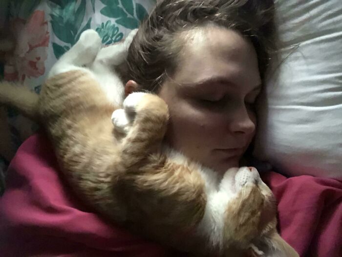 This Is Apparently How I Was Sleeping Last Night. Glad He’s Still A Tiny Kitten And I Could Breathe