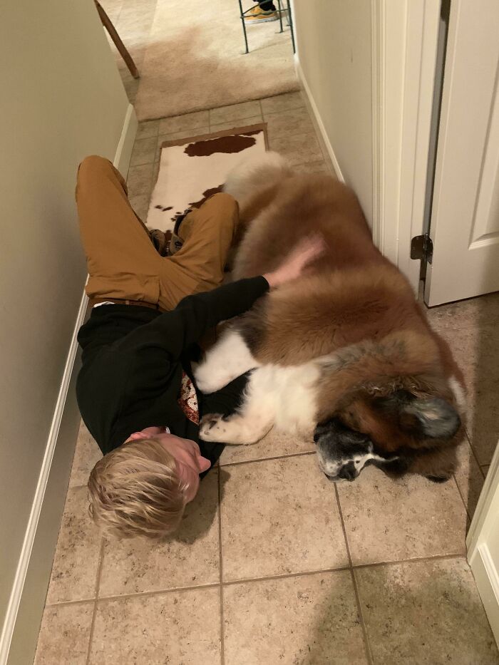 Happy Thanksgiving From My Boyfriend And His Grandmother’s Absolute Unit Of A Dog