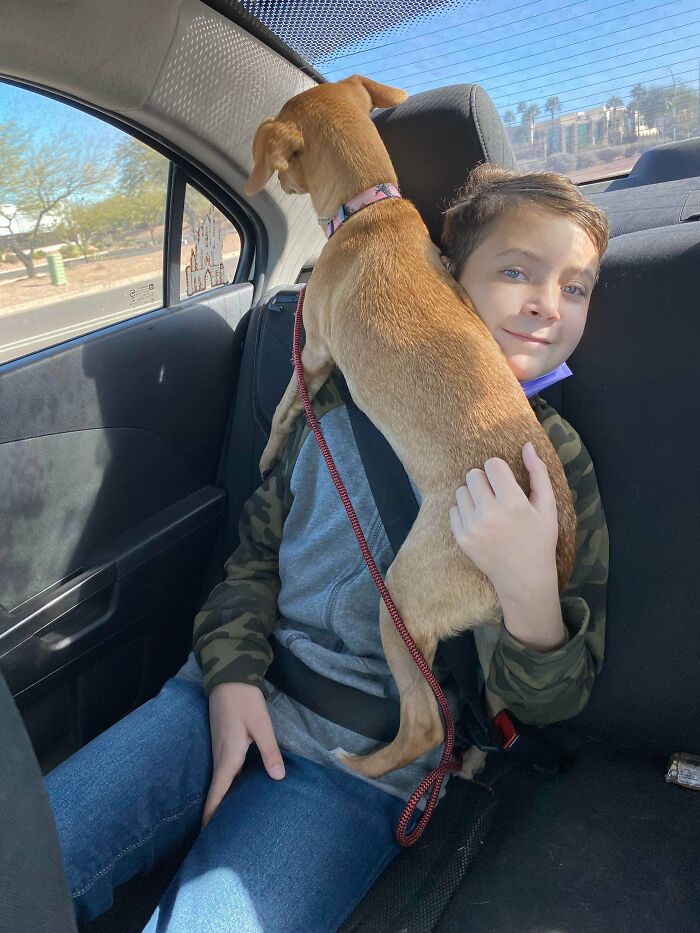 Luna Still Isn’t Sure About These Car Rides, So She Holds Onto Her Human For Support