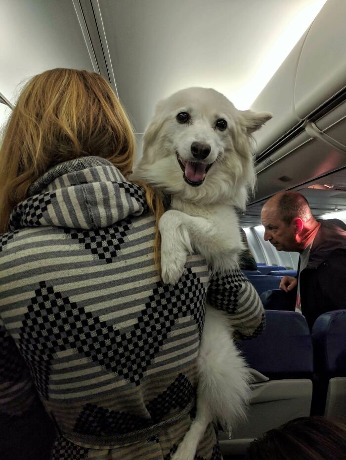 I Asked To Be Seated Next To The Cutest Guy On The Plane