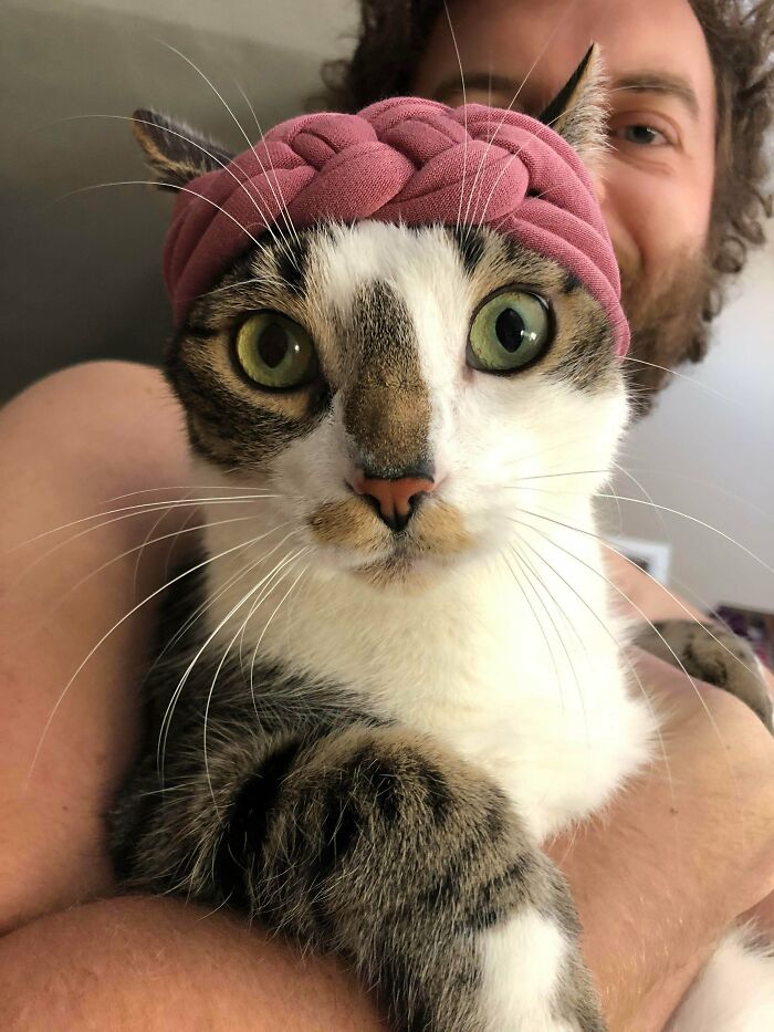 Couldn’t Resist Trying Our Baby Daughters New Headband On Our Cat First
