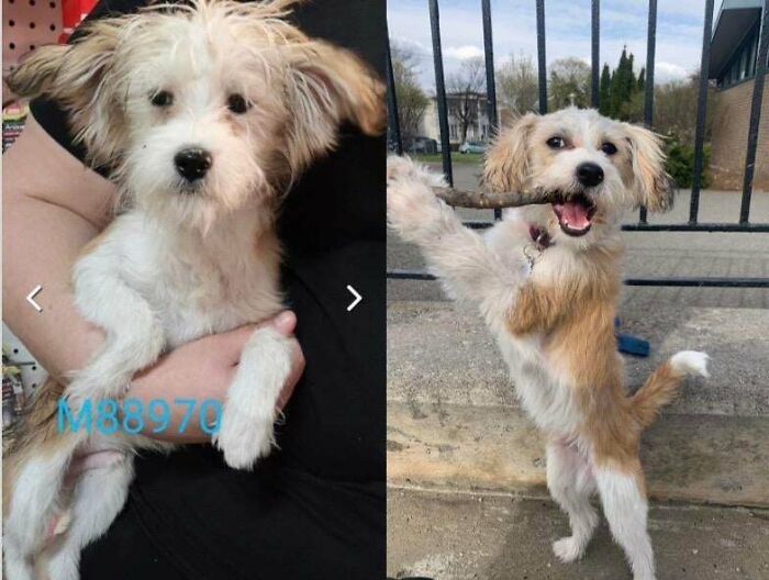 Before And After Of My Boy