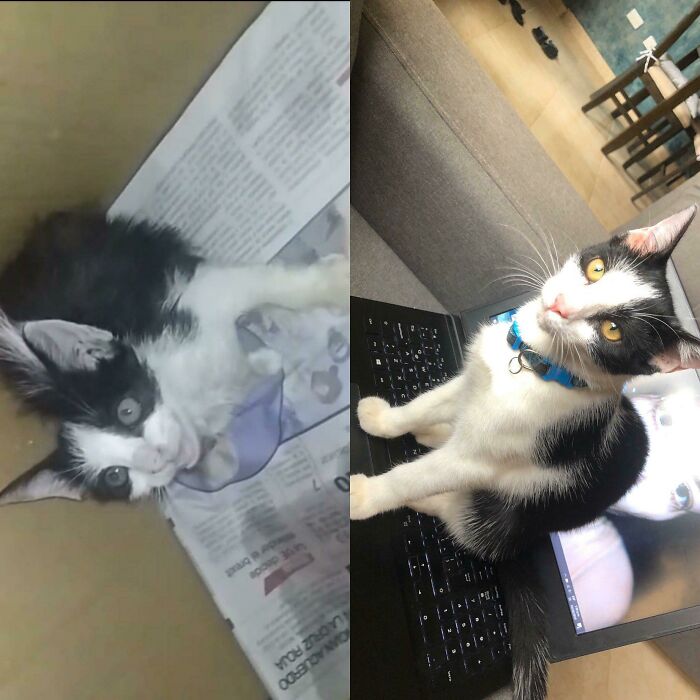 3 Months After Adoption