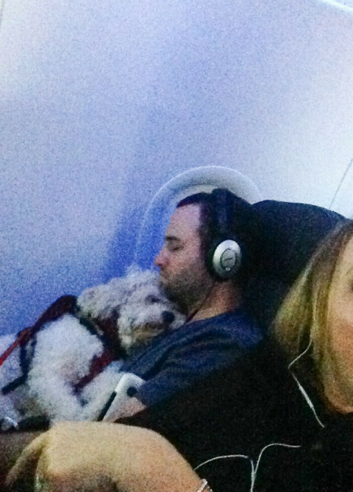 This Guy And His Dog On My Flight Right Now. They Have Been Like This For Over 2 Hours