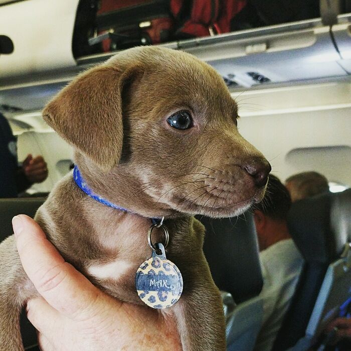 This Guy Sitting Next To Me On The Flight Was All Business