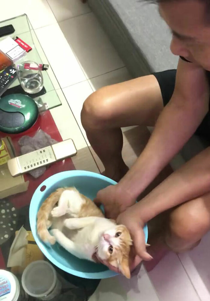 This Grandpa-To-Be Shows His Son How To Bathe A Baby By Using A Cat As An Example