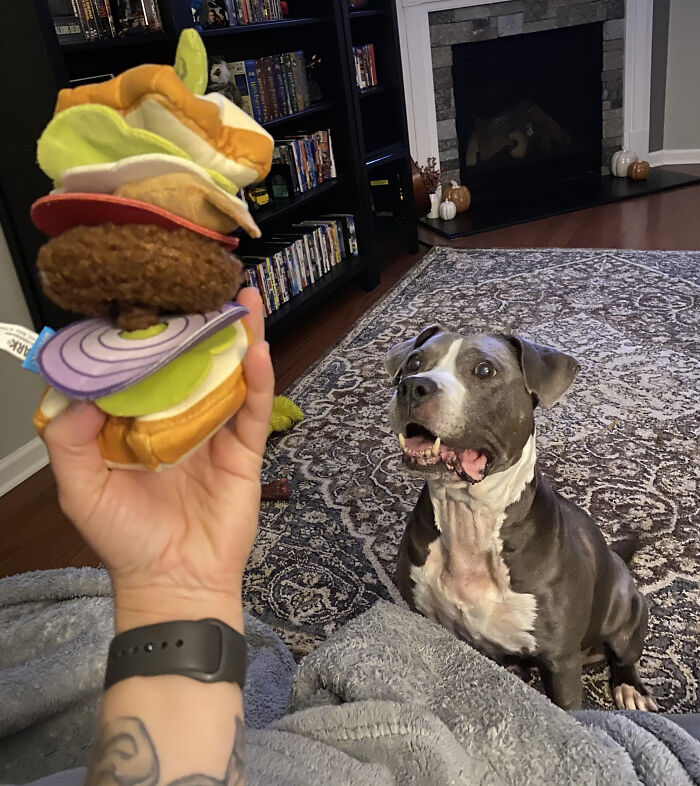Find Someone That Looks At You The Way Sookie Looks At This Sandwich Plushie.
