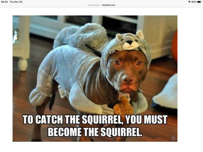 To Catch The Squirrel You Must Become The Squirrel