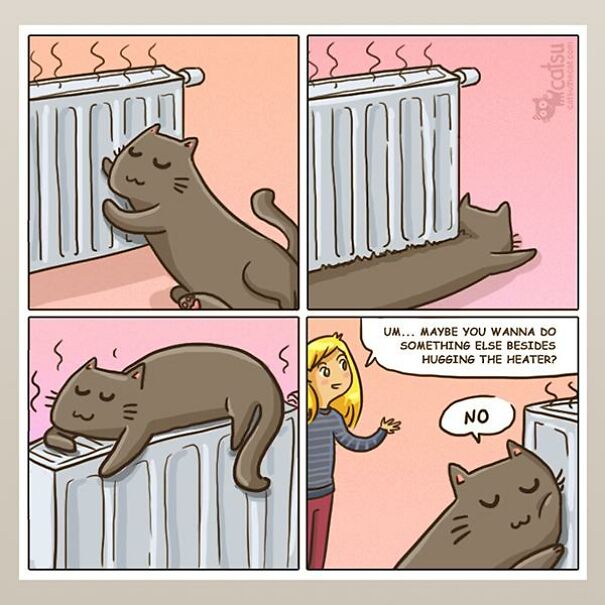 An Artist Creates Relatable Comics About Her Cat Dita And Her Family.