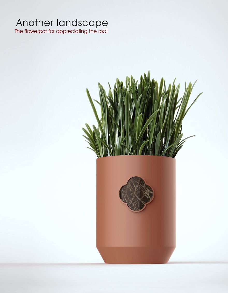 Another Landscape - A Flowerpot For Appreciating The Root