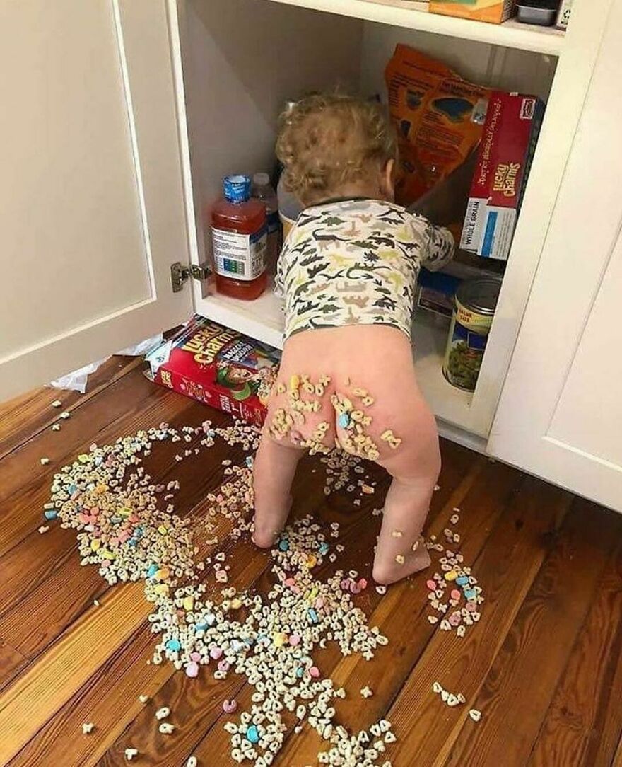 🥣 🥣