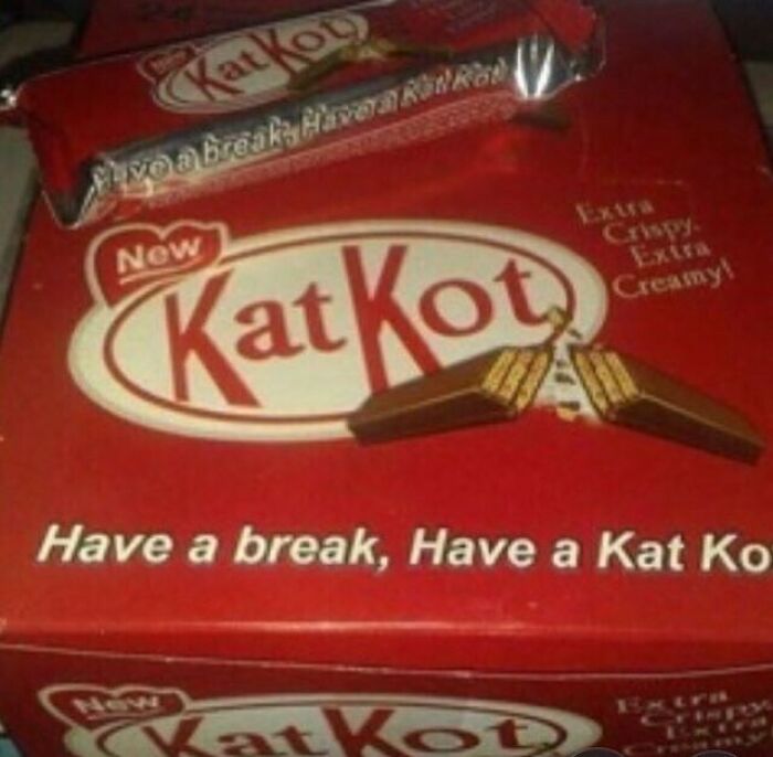 Kat Kot™
📷: @clarkchan53
.
who Would Eat One?