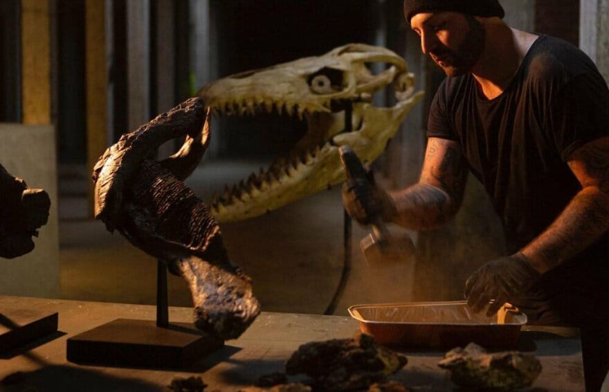 Belgian Artist Crushes Authentic 85 Mln Year Old Dinosaur Bones To Create New Artworks Belgian Artist Crushes Authentic 85 Mln Year Old Dinosaur Bones To Create New Artworks