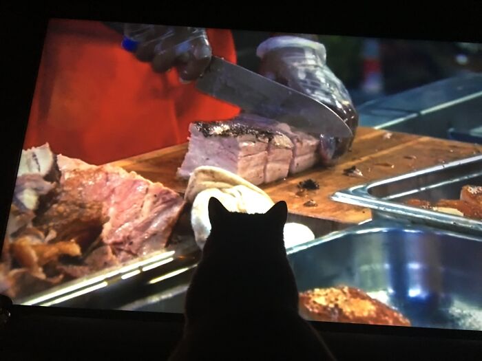 He Loves Watching The Cooking Channel!