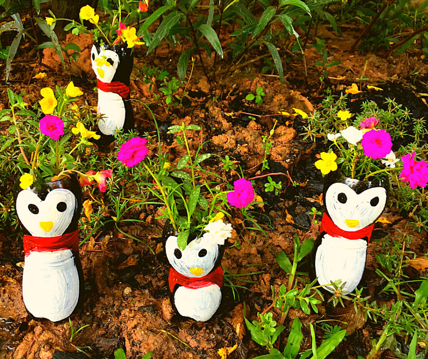 Can Penquins Be Near To Christmas Tree This Year? Can Penquins Be Near To Christmas Tree This Year?
