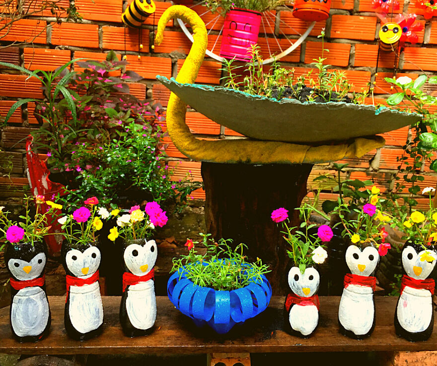 Can Penquins Be Near To Christmas Tree This Year? Can Penquins Be Near To Christmas Tree This Year?