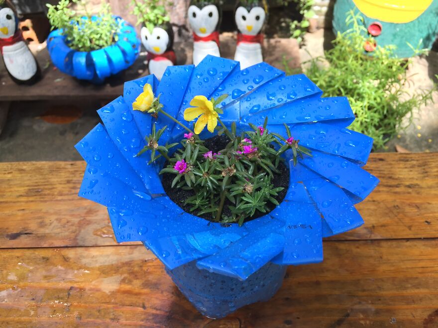 Creative Flower Pot Ideas From Discarded Plastic Bottles