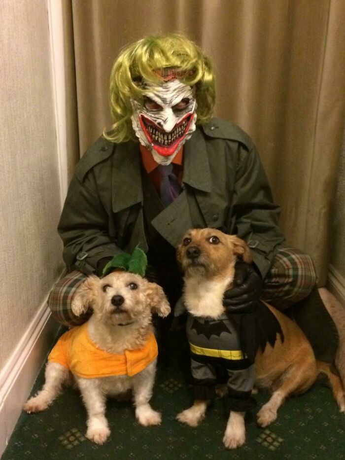 Joker, Batman And Pumpkin That Refused To Wear A Robin Costume