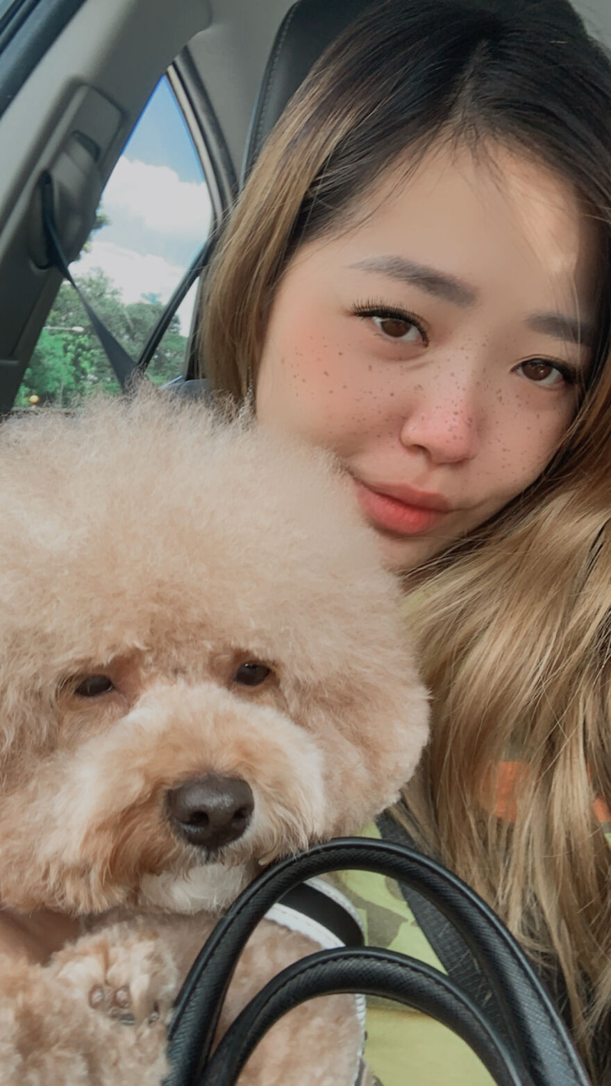Unimpressed Doggo Unimpressed Doggo