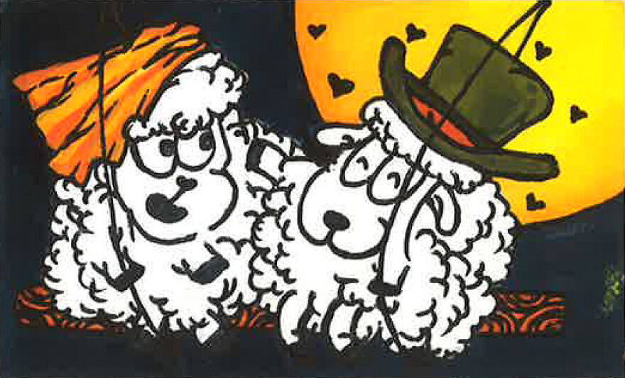 Feed My Sheep