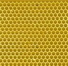 Honey-Comb-Starter-5fb027c098d7d.jpg