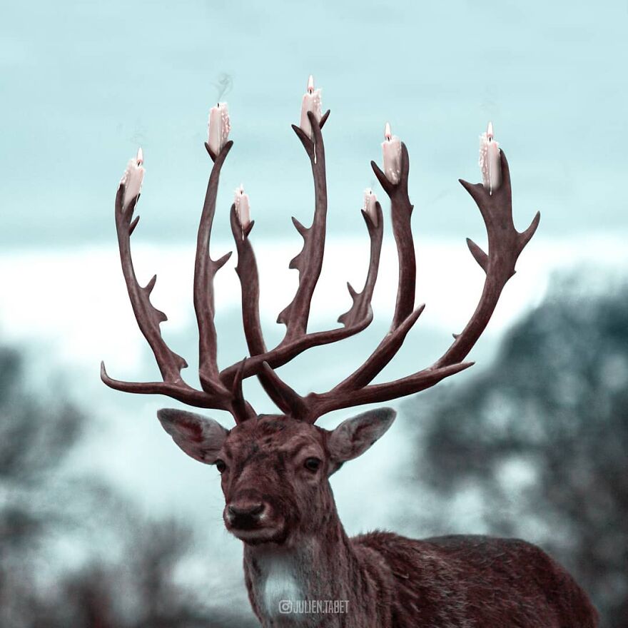Candle Deer