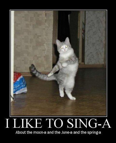 I-like-to-sing-cat-5fbd45c034947.jpg