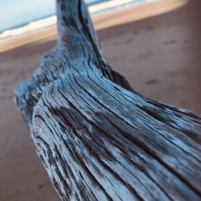 Just A Piece Of Driftwood At The Beach