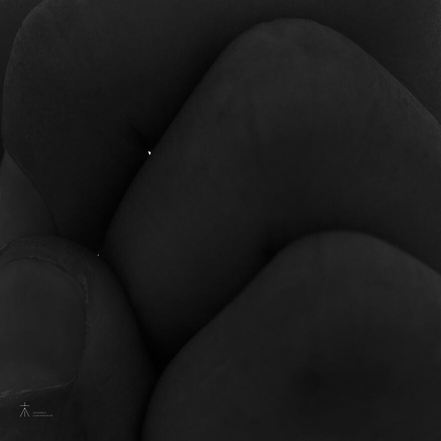 Unexpected Camera Angles: Social Density Unexpected Camera Angles: Social Density