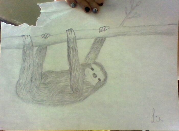 This Cute Little Sloth I Used A Tutorial To Draw :3 (It's Not Exactly The Same So I Guess You Could Say It's Original, But I Still Followed A Tutorial So Maybe Not)