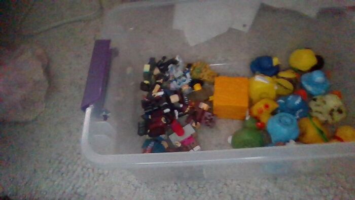 Rubber Ducks And Roblox Figures, I Haven't Added To It Much Yet Though....