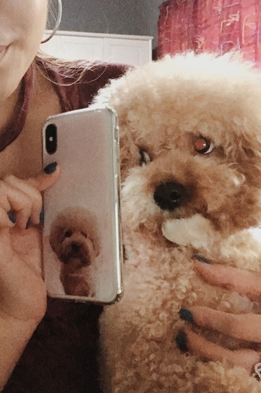 Unimpressed Doggo Unimpressed Doggo