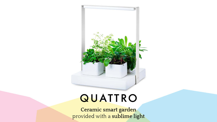 Join The Green Revolution With Kigarden Join The Green Revolution With Kigarden
